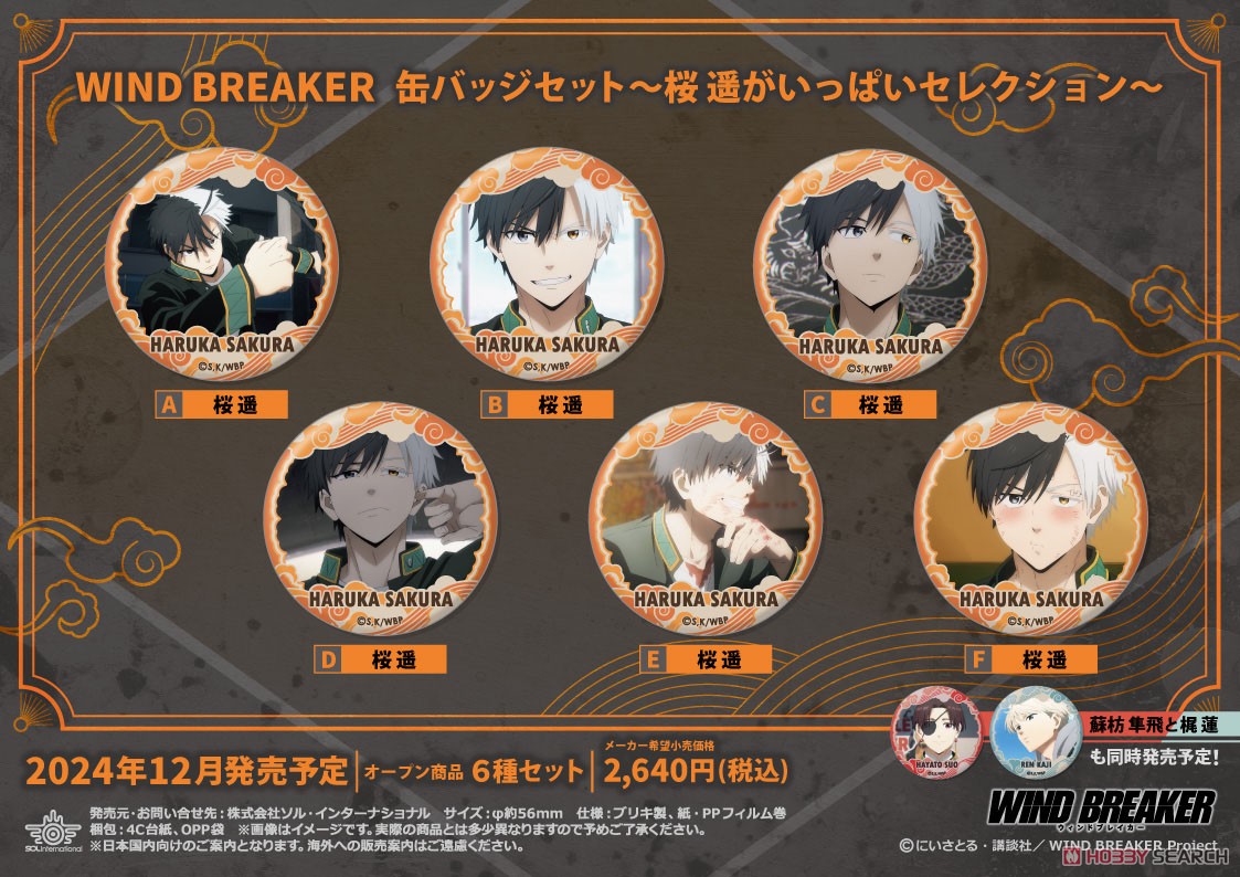 ③WINDBREAKER ウィンドブレイカー バースデー ビッグ缶バッジ 桜遥