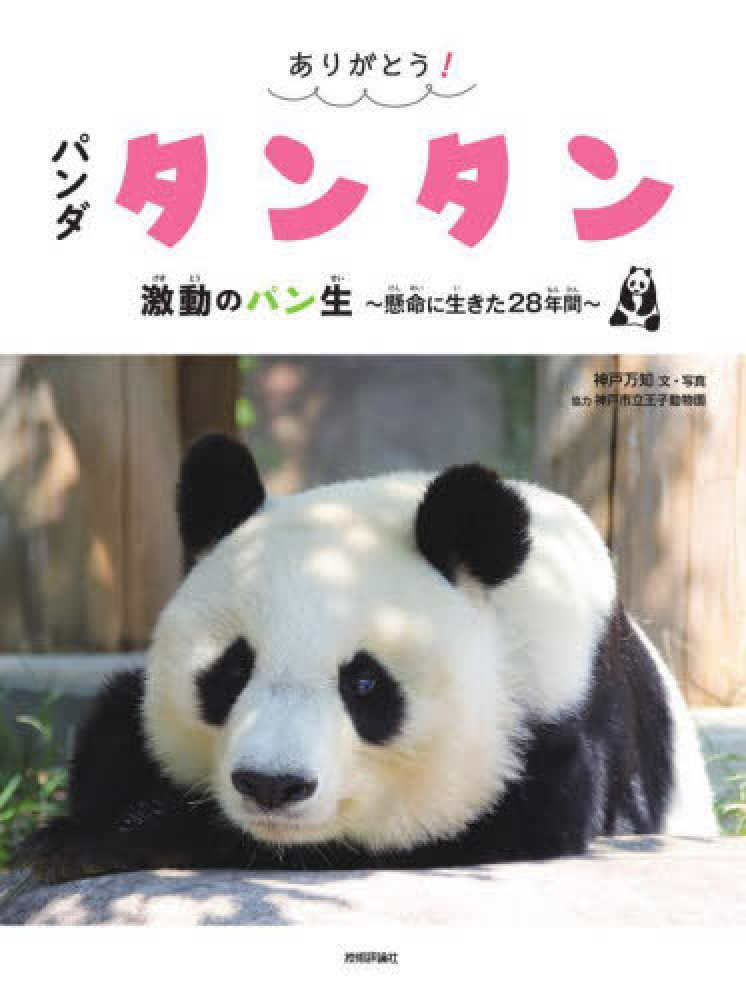 売約済 王子動物園 タンタン クリアファイル & ありがとうタンタン