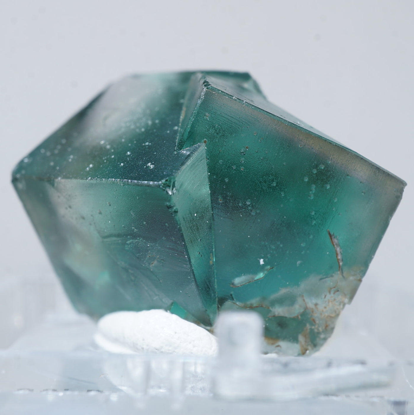 412 イギリス シェリーツインズ フローライト 412 イギリス シェリー