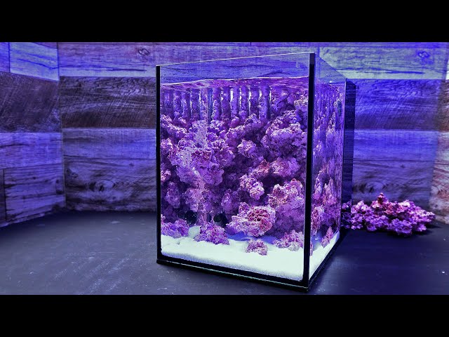 ✐プラグ穴付き 新品 人工ライブロック 60cm海水水槽用 レプリカ 安い1