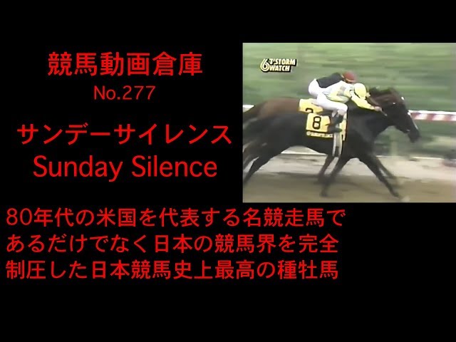 1985）サンデーサイレンス (Sunday Silence)写真額 競馬関係 1985