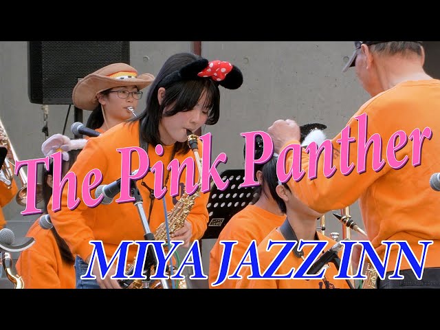 The Pink Panther ピンクパンサー MIYA JAZZ INN 2024 - YouTube