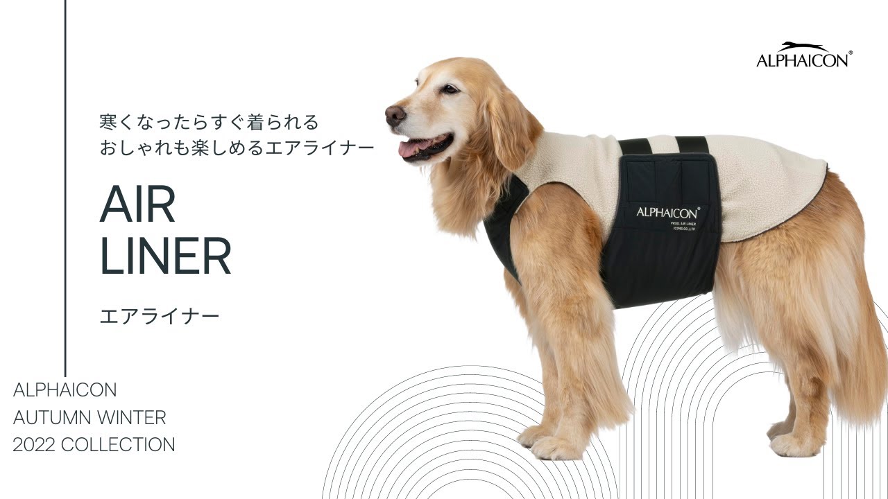 アルファアイコン エアライナー +ポケットセットCOSMIC L AIR LINER