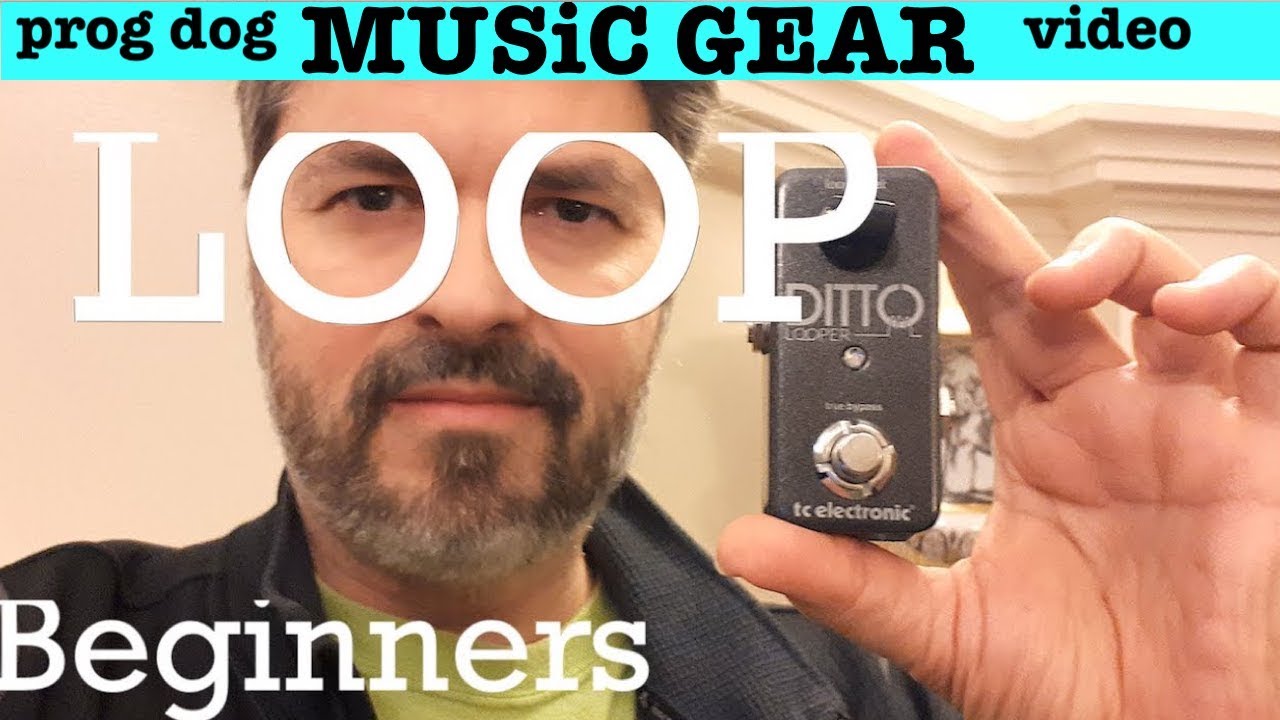 tc electronic / DITTO LOOPER 限定ゴールド TC Electronic | Product