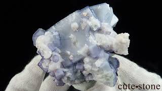 329 ポーセリンフローライト 329 ポーセリンフローライト ポーセリン