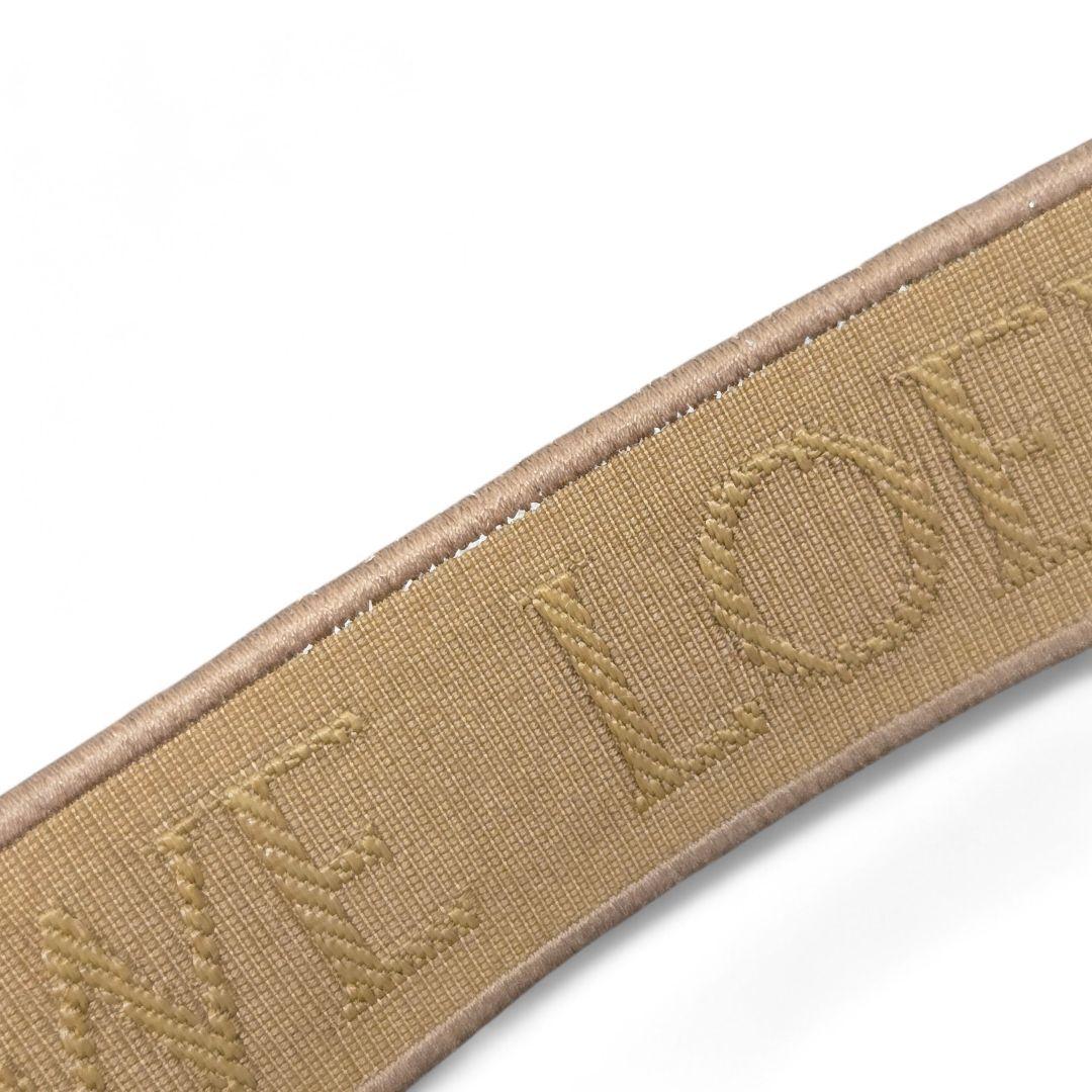 極美品✨ロエベ アナグラム ショルダーストラップ スナフジタ ワオキツネザル