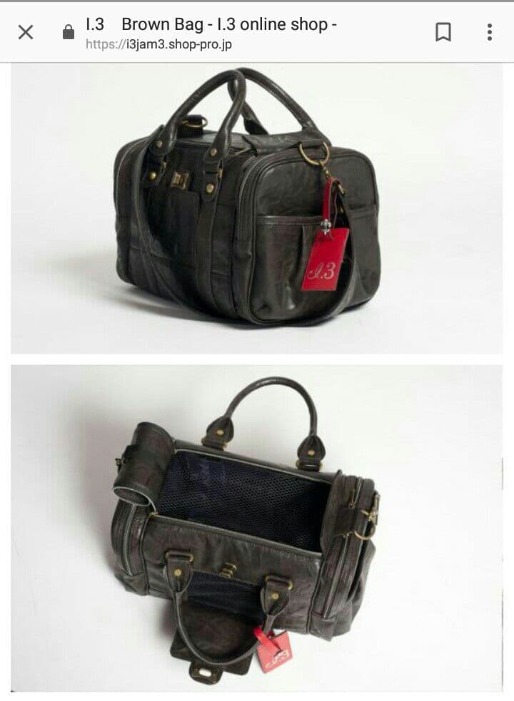 高級ペットキャリーバッグ　アイドットスリー　Ｍサイズ 高級ペットキャリーバッグ アイドットスリー Mサイズ 【公式通販】